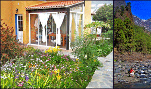 Der Unterrichtsraum - La Palma Sprachschule