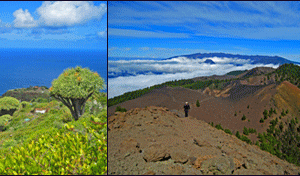 Spanischunterricht La Palma
